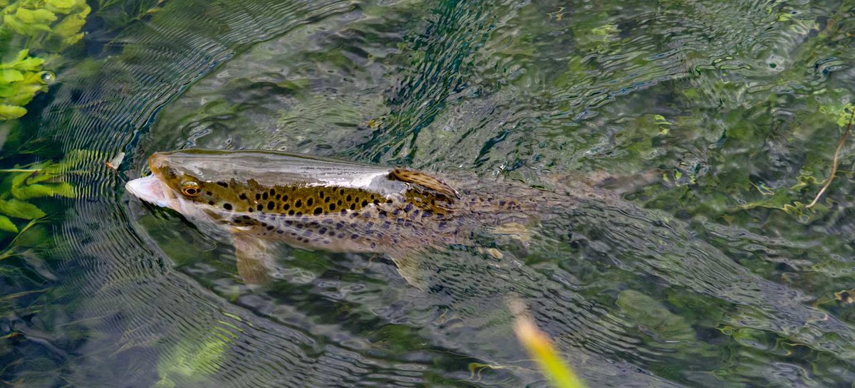 Fly Fishing in Wales Luxury Vacations UK